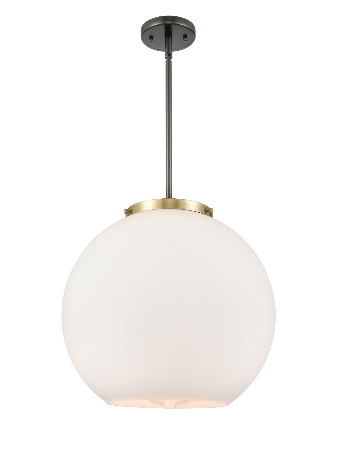 One Light Pendant by Innovations - Essex Collection, Black Antique Brass Finish - 221-1S-BAB-G121-16