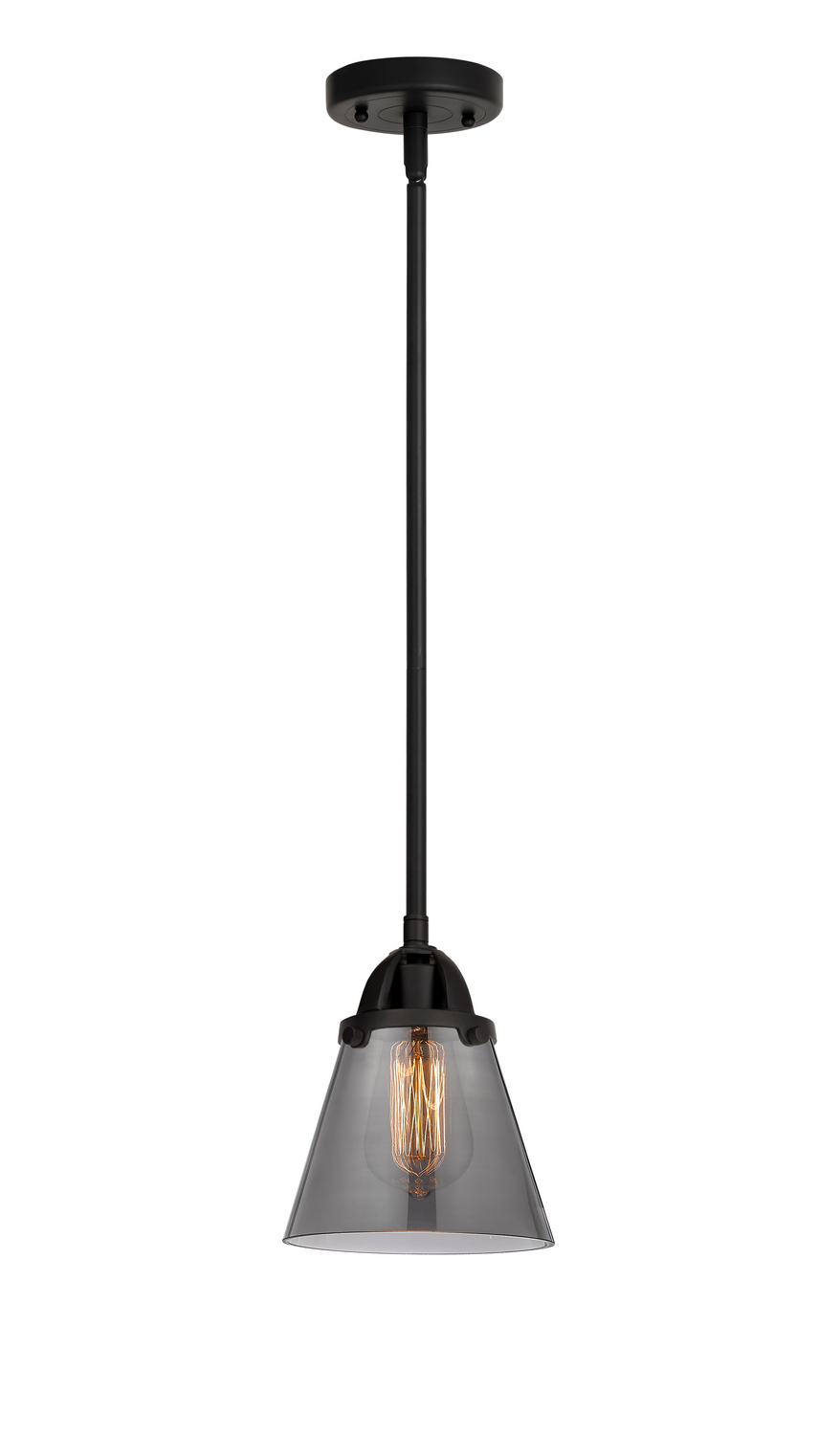 One Light Mini Pendant by Innovations - Nouveau 2 Collection, Matte Black Finish - 288-1S-BK-G63