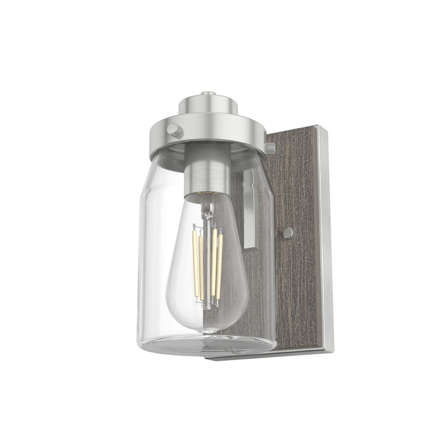Hunter Devon Park 1-Light Sconce In Brushed Nickel-image