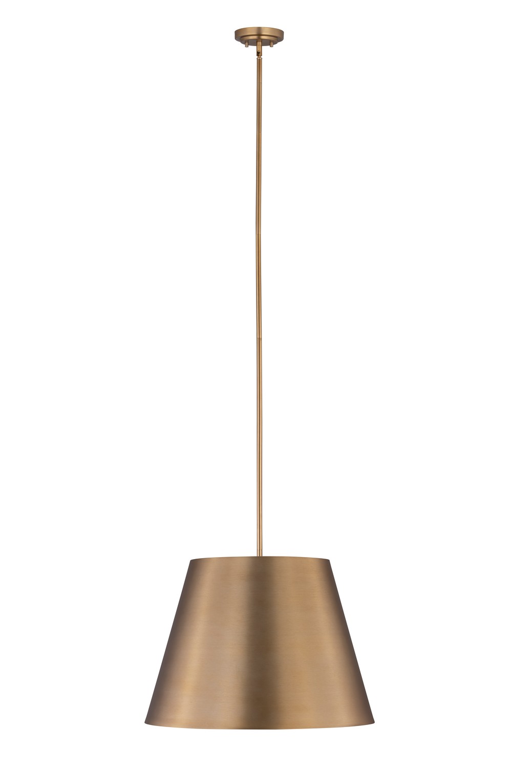 Photos - Chandelier / Lamp Z-Lite Modern Gold Pendant from the Lilly Collection 2307-24MGLD