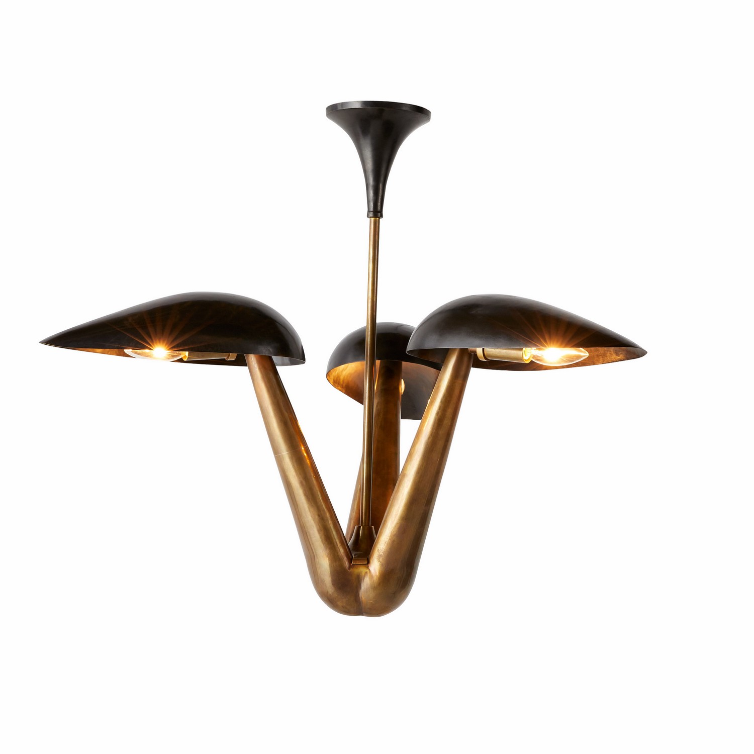 Photos - Chandelier / Lamp Arteriors Everglades 3-Light Chandelier in Blackened Iron with Antique Brass DMI11