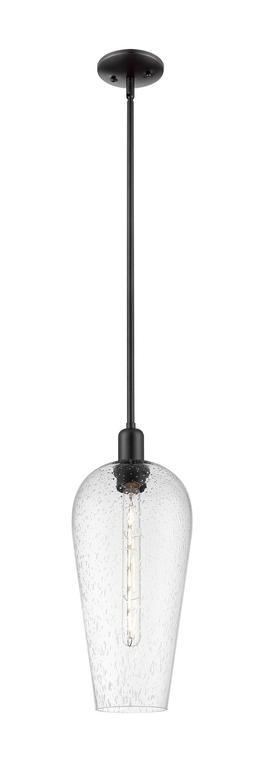 One Light Mini Pendant by Innovations - Arcadia Collection, Matte Black Finish - 716-1S-BK-G456-8SDY