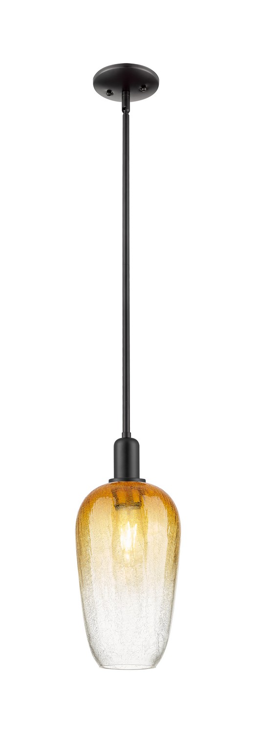 One Light Mini Pendant by Innovations - Arcadia Collection, Matte Black Finish - 716-1S-BK-G484-7AM
