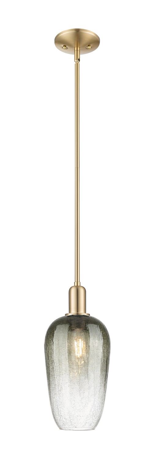 One Light Mini Pendant by Innovations - Arcadia Collection, Champagne Bronze Finish - 716-1S-CB-G484-7SL