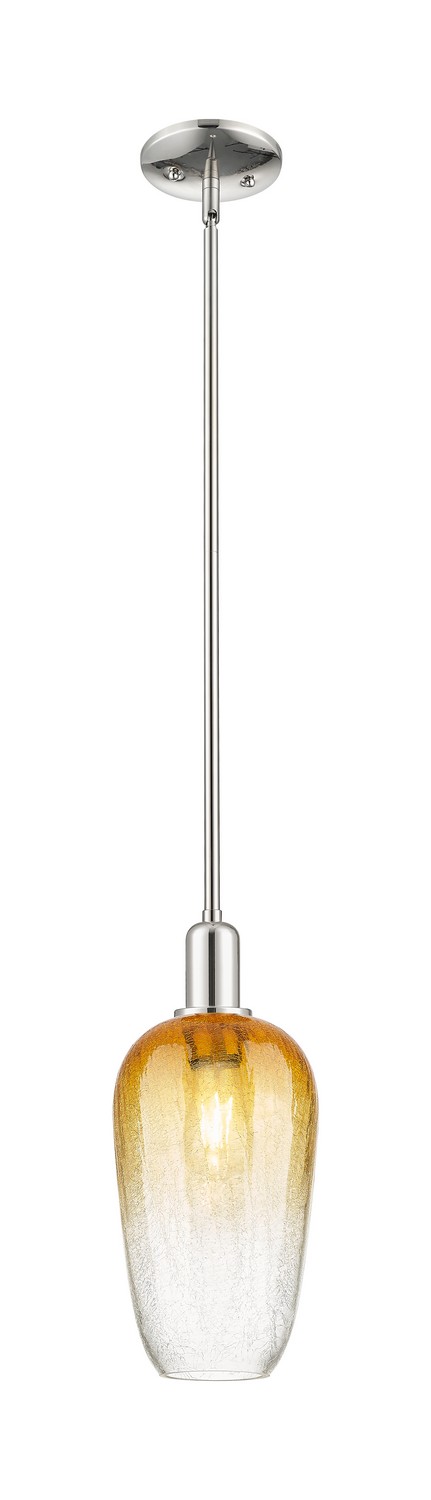 One Light Mini Pendant by Innovations - Arcadia Collection, Polished Nickel Finish - 716-1S-PN-G484-7AM
