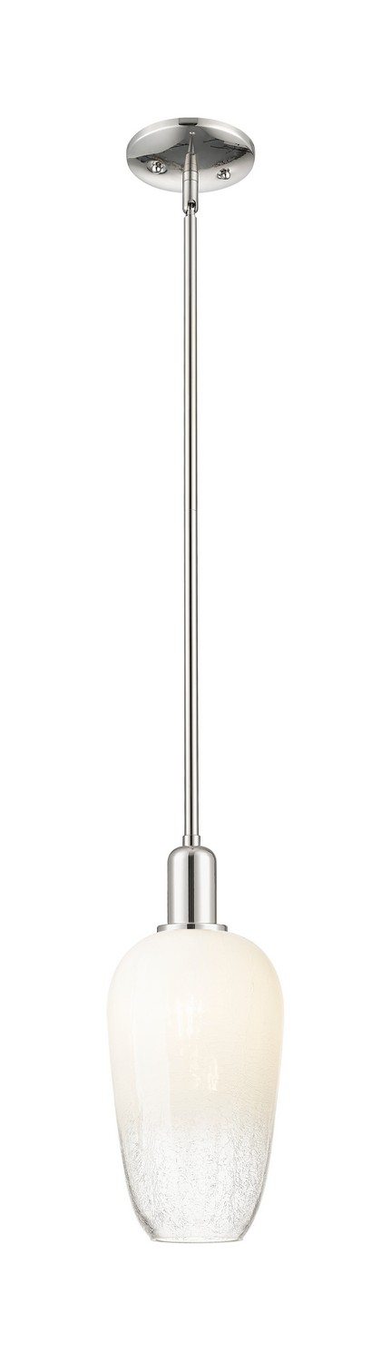 One Light Mini Pendant by Innovations - Arcadia Collection, Polished Nickel Finish - 716-1S-PN-G484-7OP