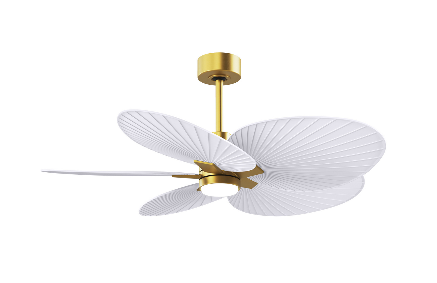 Matthews Fan Co AKTPLK-BRBR-MWH Atlas Alessandra Tropical - LK 48 inch Brushed Brass with Matte White Blades Ceiling Fan