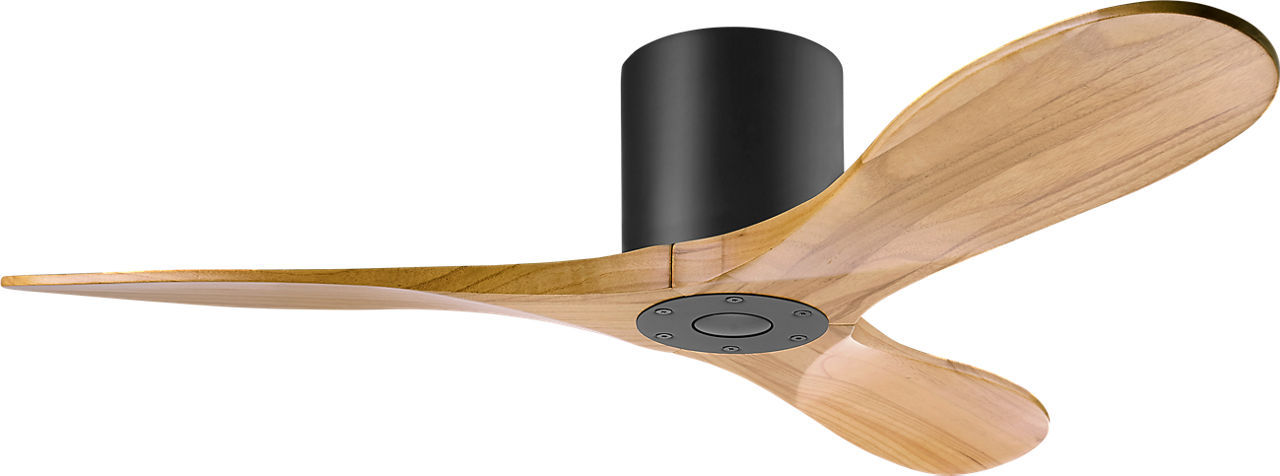 Midnight Black 44" Ceiling Fan from the Maverick Collection