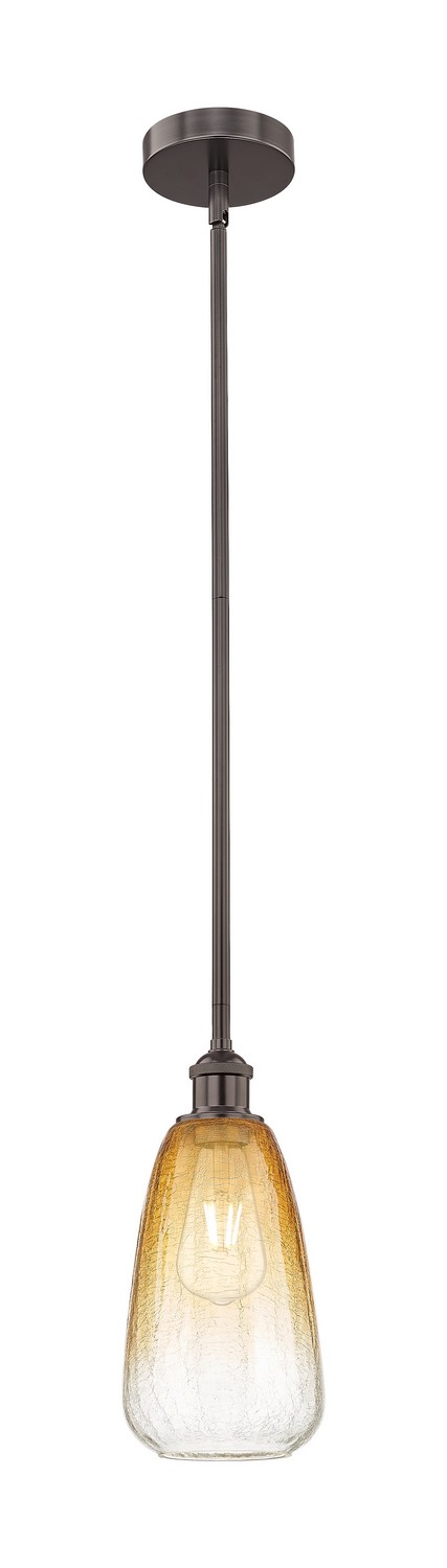 One Light Mini Pendant by Innovations - Edison Collection, Oil Rubbed Bronze Finish - 616-1S-OB-G480-6AM