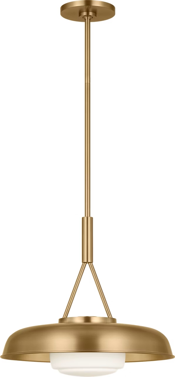 Liora One Light Pendant