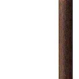 Landscape Stem