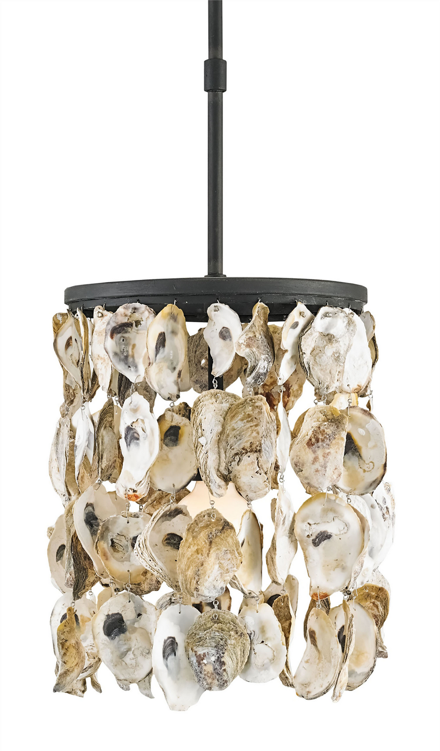 Oyster Shell One Light Pendant