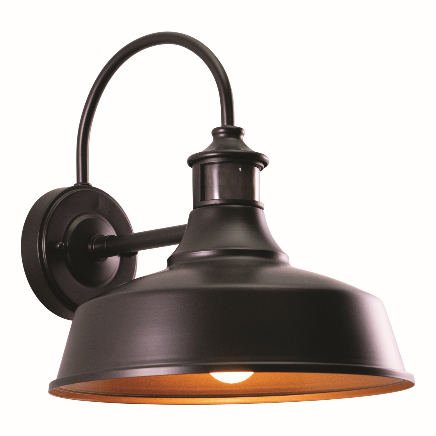 Dorado 1-Light Moti… - image
