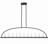 11 Light Chandelier by Crystorama - Abbott Collection, Black Finish - ABB-3009-BK