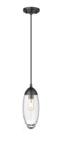 One Light Pendant by Z-Lite - Arden Collection, Matte Black Finish - 651P-MB