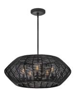 Outdoor Pendants at Your Lighting Showroom