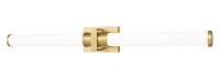 LED Vanity by Z-Lite - Idris Collection, Modern Gold Finish - 1019-40W-MGLD-LED