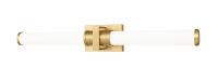 LED Vanity by Z-Lite - Idris Collection, Modern Gold Finish - 1019-32W-MGLD-LED