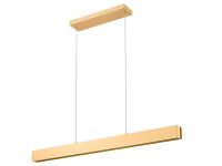 LED Linear Chandelier by Z-Lite - Hudson Collection, Gold Finish - 1016-45L-GLD-LED