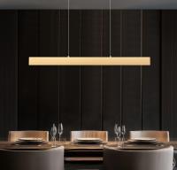 LED Linear Chandelier by Z-Lite - Hudson Collection, Gold Finish - 1016-45L-GLD-LED