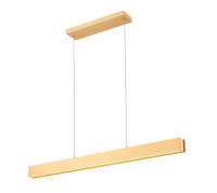 LED Linear Chandelier by Z-Lite - Hudson Collection, Gold Finish - 1016-45L-GLD-LED