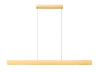 LED Linear Chandelier by Z-Lite - Hudson Collection, Gold Finish - 1016-55L-GLD-LED