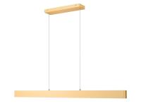 LED Linear Chandelier by Z-Lite - Hudson Collection, Gold Finish - 1016-55L-GLD-LED