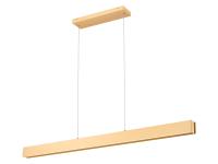 LED Linear Chandelier by Z-Lite - Hudson Collection, Gold Finish - 1016-55L-GLD-LED