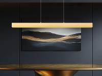 LED Linear Chandelier by Z-Lite - Hudson Collection, Gold Finish - 1016-55L-GLD-LED