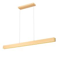 LED Linear Chandelier by Z-Lite - Hudson Collection, Gold Finish - 1016-55L-GLD-LED