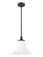 One Light Pendant by Z-Lite - Fleur Collection, Matte Black Finish - 1958P12-MB