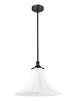 One Light Pendant by Z-Lite - Fleur Collection, Matte Black Finish - 1958P16-MB