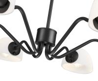 Six Light Chandelier by Z-Lite - Breton Collection, Matte Black Finish - 3048-6MB
