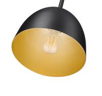 One Light Pendant by Z-Lite - Vega Collection, Matte Black Finish - 4501P8-MB