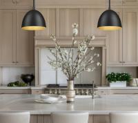 One Light Pendant by Z-Lite - Vega Collection, Matte Black Finish - 4501P8-MB