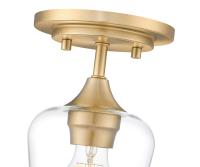 One Light Flush Mount by Z-Lite - Joliet Collection, Burnished Brass Finish - 473F1-BBR