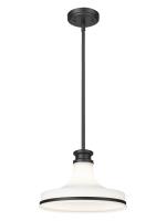 One Light Pendant by Z-Lite - Reznor Collection, Matte Black Finish - 831P12-MB