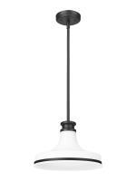 One Light Pendant by Z-Lite - Reznor Collection, Matte Black Finish - 831P12-MB