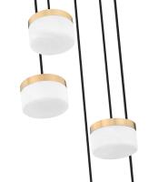 LED Chandelier by Z-Lite - Renaud Collection, Modern Gold Finish - 827P6-5R-MGLD-LED