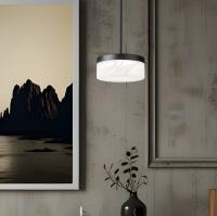 LED Pendant by Z-Lite - Renaud Collection, Matte Black Finish - 827P9-MB-LED