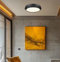 LED Flush Mount by Z-Lite - Quasars Collection, Matte Black Finish - 7701F16-MB-LED