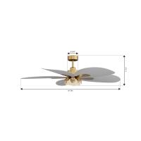 60" Ceiling Fan by Minka Aire - Saltcress Collection, Legacy Brass Finish - F764L-LBR
