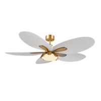 60" Ceiling Fan by Minka Aire - Saltcress Collection, Legacy Brass Finish - F764L-LBR