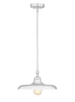 One Light Pendant by Z-Lite - Camden Collection, Brushed Nickel Finish - 2308P14-BN