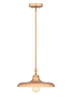 One Light Pendant by Z-Lite - Camden Collection, Rubbed Brass Finish - 2308P14-RB