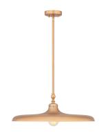 One Light Pendant by Z-Lite - Camden Collection, Rubbed Brass Finish - 2308P24-RB