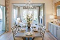 Nine Light Chandelier by Crystorama - Ashton Collection, Olde Silver Finish - 5019-OS-CL-MWP