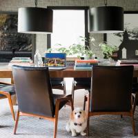 Six Light Chandelier by Crystorama - Alston Collection, Matte Black + White Finish - 8686-MK-WH