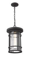 One Light Outdoor Chain Mount Ceiling Fixture by Z-Lite - Jordan Collection, Oil Rubbed Bronze Finish - 570CHB-ORB