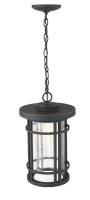 One Light Outdoor Chain Mount Ceiling Fixture by Z-Lite - Jordan Collection, Oil Rubbed Bronze Finish - 570CHB-ORB